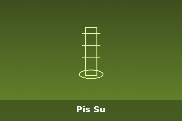 Pis Su